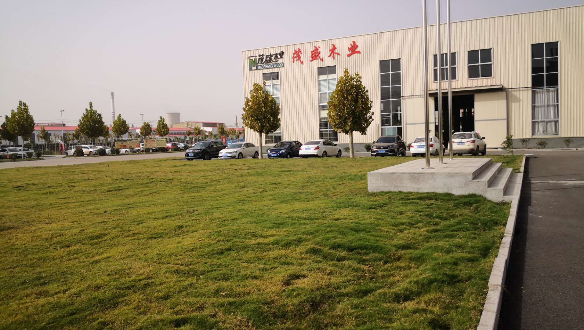 山東省森林采伐更新技術規程,山東菏澤茂盛木業有限公司